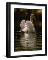 Swan-Michael Jackson-Framed Giclee Print