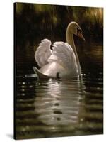 Swan-Michael Jackson-Stretched Canvas