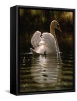 Swan-Michael Jackson-Framed Stretched Canvas