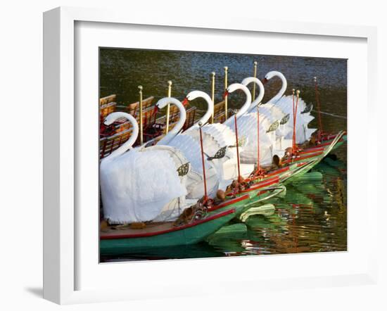 Swanboats, Public Garden, Boston, Massachusetts, USA-Walter Bibikow-Framed Photographic Print