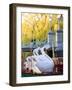 Swanboats, Public Garden, Boston, Massachusetts, USA-Walter Bibikow-Framed Photographic Print