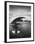 Swans and Bridge-null-Framed Photographic Print