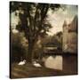 Swans at Chateau-Dawne Polis-Stretched Canvas