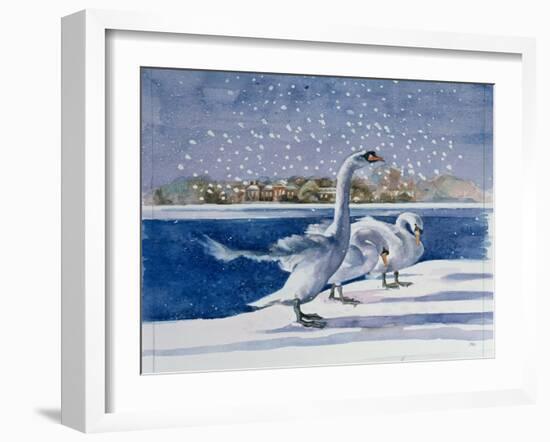 Swans at Kensington Palace-Isabel Hutchison-Framed Giclee Print