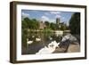 Swans Beside the River Severn and Worcester Cathedral, Worcester, Worcestershire, England-Stuart Black-Framed Photographic Print