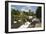 Swans Beside the River Severn and Worcester Cathedral, Worcester, Worcestershire, England-Stuart Black-Framed Photographic Print