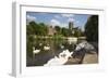 Swans Beside the River Severn and Worcester Cathedral, Worcester, Worcestershire, England-Stuart Black-Framed Photographic Print
