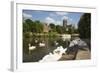 Swans Beside the River Severn and Worcester Cathedral, Worcester, Worcestershire, England-Stuart Black-Framed Photographic Print