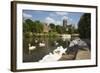 Swans Beside the River Severn and Worcester Cathedral, Worcester, Worcestershire, England-Stuart Black-Framed Photographic Print