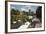 Swans Beside the River Severn and Worcester Cathedral, Worcester, Worcestershire, England-Stuart Black-Framed Photographic Print