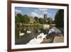 Swans Beside the River Severn and Worcester Cathedral, Worcester, Worcestershire, England-Stuart Black-Framed Photographic Print