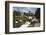 Swans Beside the River Severn and Worcester Cathedral, Worcester, Worcestershire, England-Stuart Black-Framed Photographic Print