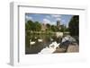 Swans Beside the River Severn and Worcester Cathedral, Worcester, Worcestershire, England-Stuart Black-Framed Photographic Print