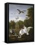 Swans, Ducks and Other Birds in a Park-Pieter Casteels-Framed Stretched Canvas