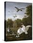 Swans, Ducks and Other Birds in a Park-Pieter Casteels-Stretched Canvas