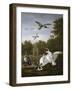 Swans, Ducks and Other Birds in a Park-Pieter Casteels-Framed Giclee Print