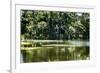 Swans I-Alan Hausenflock-Framed Photographic Print