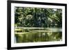 Swans I-Alan Hausenflock-Framed Photographic Print