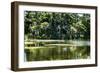 Swans I-Alan Hausenflock-Framed Photographic Print