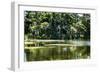 Swans I-Alan Hausenflock-Framed Photographic Print