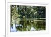 Swans II-Alan Hausenflock-Framed Photographic Print