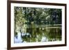 Swans II-Alan Hausenflock-Framed Photographic Print