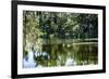 Swans II-Alan Hausenflock-Framed Photographic Print