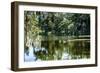 Swans II-Alan Hausenflock-Framed Photographic Print