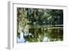 Swans II-Alan Hausenflock-Framed Photographic Print