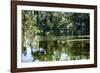 Swans II-Alan Hausenflock-Framed Photographic Print