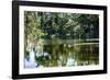 Swans II-Alan Hausenflock-Framed Photographic Print