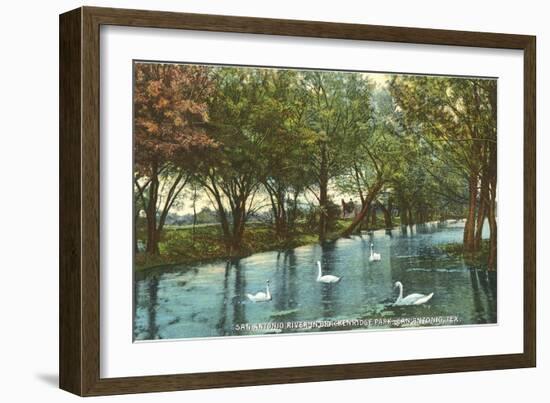 Swans in Brackenridge Park, San Antonio, Texas-null-Framed Art Print