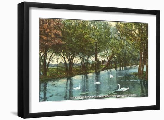 Swans in Brackenridge Park, San Antonio, Texas-null-Framed Art Print