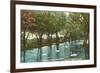 Swans in Brackenridge Park, San Antonio, Texas-null-Framed Premium Giclee Print