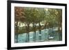 Swans in Brackenridge Park, San Antonio, Texas-null-Framed Premium Giclee Print