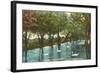 Swans in Brackenridge Park, San Antonio, Texas-null-Framed Art Print