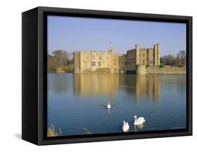 Swans in Front of Leeds Castle, Kent, England-G Richardson-Framed Stretched Canvas