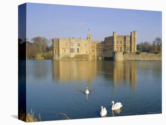 Swans in Front of Leeds Castle, Kent, England-G Richardson-Stretched Canvas