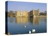 Swans in Front of Leeds Castle, Kent, England-G Richardson-Stretched Canvas