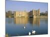 Swans in Front of Leeds Castle, Kent, England-G Richardson-Mounted Photographic Print