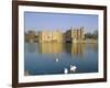 Swans in Front of Leeds Castle, Kent, England-G Richardson-Framed Photographic Print