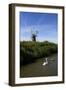 Swans in Front of St. Benet's Windmill-Peter Richardson-Framed Photographic Print