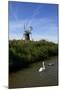 Swans in Front of St. Benet's Windmill-Peter Richardson-Mounted Photographic Print