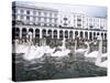 Swans in Front of the Alster Arcades in the Altstadt (Old Town), Hamburg, Germany-Yadid Levy-Stretched Canvas