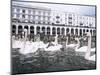 Swans in Front of the Alster Arcades in the Altstadt (Old Town), Hamburg, Germany-Yadid Levy-Mounted Photographic Print