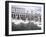 Swans in Front of the Alster Arcades in the Altstadt (Old Town), Hamburg, Germany-Yadid Levy-Framed Photographic Print