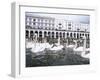 Swans in Front of the Alster Arcades in the Altstadt (Old Town), Hamburg, Germany-Yadid Levy-Framed Photographic Print