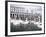 Swans in Front of the Alster Arcades in the Altstadt (Old Town), Hamburg, Germany-Yadid Levy-Framed Photographic Print