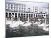 Swans in Front of the Alster Arcades in the Altstadt (Old Town), Hamburg, Germany-Yadid Levy-Mounted Photographic Print