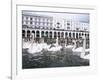 Swans in Front of the Alster Arcades in the Altstadt (Old Town), Hamburg, Germany-Yadid Levy-Framed Photographic Print